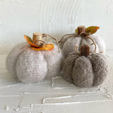 Grey Pumpkins